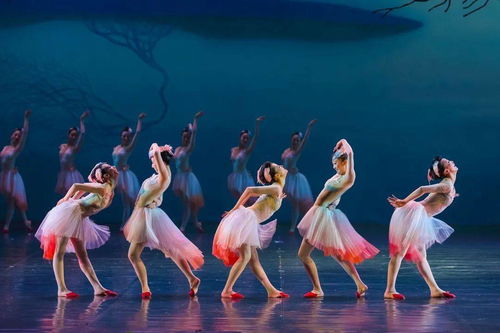 大年初一，舞劇《朱鹮》杭州站唯美鉅獻(xiàn)，開啟新春文藝盛宴